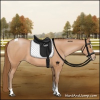 Horse Color:Brown Pearl Sabino Tobiano 
