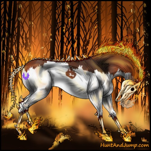 Horse Color:Bay Splash 