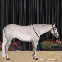 Horse Color:Platinum Chocolate Palomino Dun 