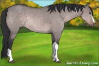 Horse Color:Platinum Brown Dun 
