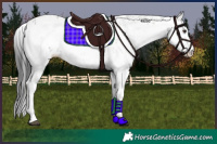 Horse Color:Platinum Liver Red Onyx Sabino 