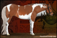Horse Color:Silver Bay Tobiano 