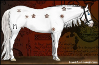 Horse Color:Silver Bay Splash Tobiano 