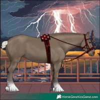 Horse Color:Silver Smoky Black 