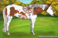 Horse Color:Silver Bay Splash Tobiano 