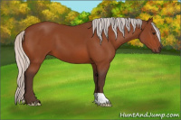 Horse Color:Silver Bay