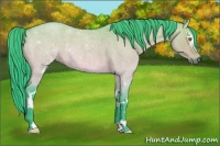 Horse Color:Watercolor White Spotted Brown Roan Dun Rabicano 