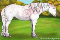 Horse Color:Platinum Chocolate Silver Bay Pearl Sabino Appaloosa 