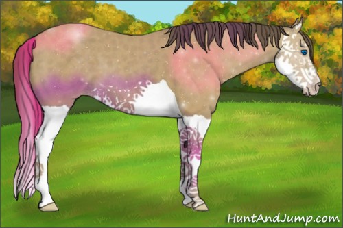 Horse Color:Classic Cream Champagne Splash