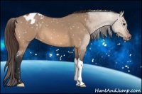 Horse Color:Bay Roan Dun Appaloosa