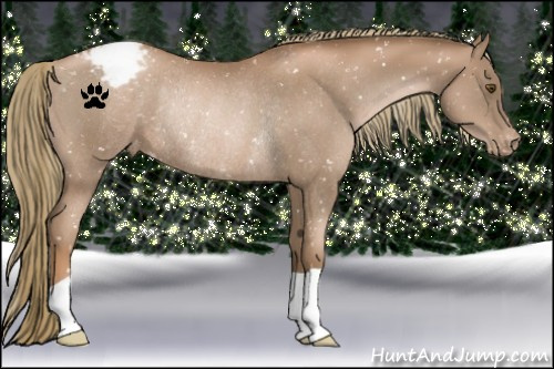 Horse Color:Liver Chestnut Pearl Appaloosa Rabicano 