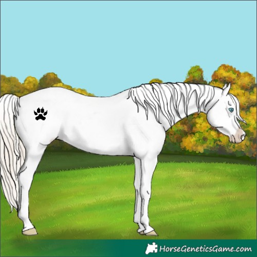 Horse Color:Chocolate Palomino Pearl Dun Snowflake Varnish