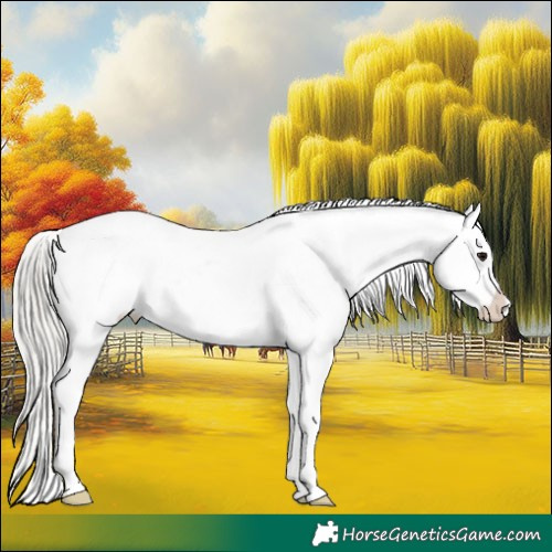 Horse Color:Silver Grullo Snowflake Varnish