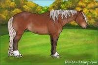 Horse Color:Silver Bay 
