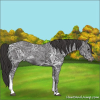Horse Color:Smoky Black Ice Tobiano 