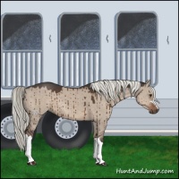 Horse Color:Liver Red Dun Mushroom Brindle 