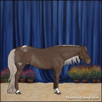 Horse Color:Liver Chestnut Mushroom Varnish Rabicano 