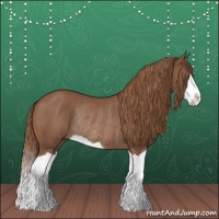 Horse Color:Chestnut Splash Rabicano 