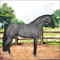 Horse Color:Blue Roan 
