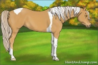 Horse Color:Palomino Tobiano 