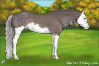 Horse Color:Platinum Liver Chestnut Splash 
