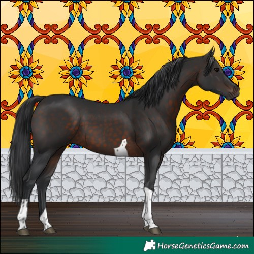 Horse Color:Brown Tobiano 