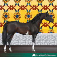 Horse Color:Brown Tobiano 
