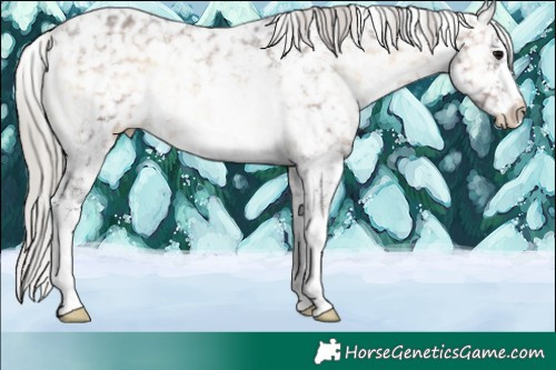 Horse Color:Silver Brown Ice Onyx Sabino Appaloosa Rabicano 