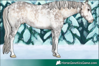 Horse Color:Silver Brown Ice Onyx Sabino Appaloosa Rabicano 