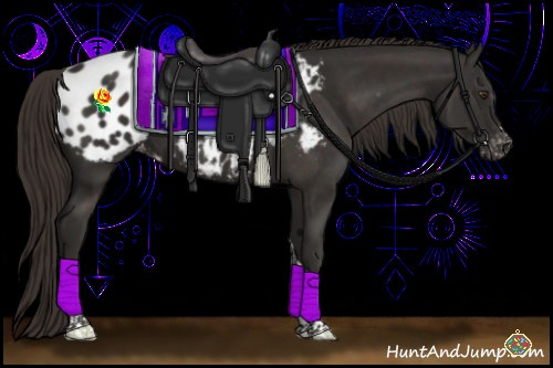 Horse Color:Liver Chestnut Sabino Tobiano Appaloosa 