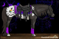 Horse Color:Liver Chestnut Sabino Tobiano Appaloosa 