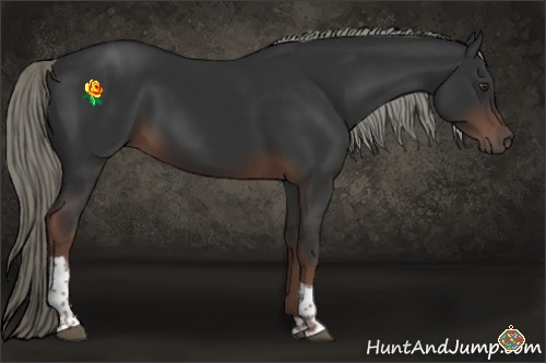 Horse Color:Liver Chestnut Mushroom Tobiano 