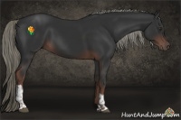 Horse Color:Liver Chestnut Mushroom Tobiano 