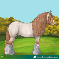 Horse Color:Red Dun Roan Splash Frame Rabicano 