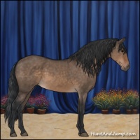 Horse Color:Brown Dun 