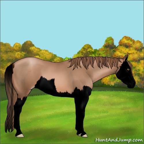 Horse Color:Void Liver Chestnut Pearl Splash 