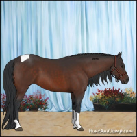 Horse Color:Brown Tobiano 