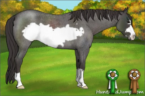 Horse Color:Smoky Blue Roan Frame 