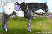 Horse Color:White Spotted Black Appaloosa