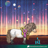Horse Color:Bay Dun Appaloosa 