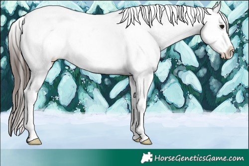 Horse Color:Brown Roan Dun Blanket