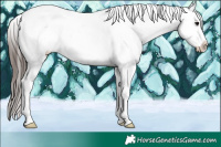 Horse Color:Brown Roan Dun Appaloosa 