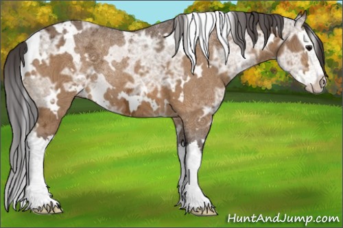 Horse Color:White Spotted Buckskin Ice Splash 
