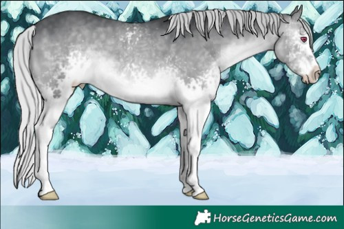 Horse Color:White Spotted Silver Brown Chinchilla