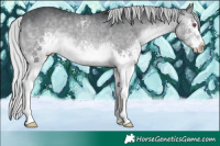 Horse Color:White Spotted Silver Brown Chinchilla 