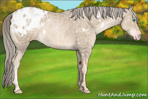 Horse Color:White Spotted Chocolate Palomino Ice Pearl Varnish 