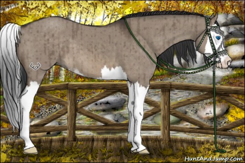 Horse Color:Brown Dun Sabino Splash Brindle 