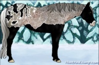 Horse Color:Liver Chestnut Ice Mushroom Splash Blanket 