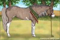 Horse Color:Silver Brown Roan Dun Sabino 