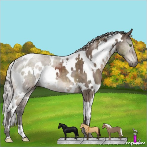 Horse Color:White Spotted Silver Brown Dun Mushroom Brindle 